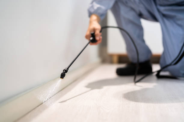 Bed Bug Pre-Treatment Preparation Assessment in Langhorne Manor