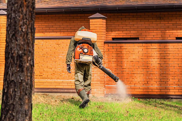 Bed Bug Clearance Verification and Documentation in Langhorne Manor